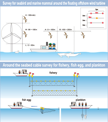 Survey for seabird and marine mammal around the floating offshore wind turbine