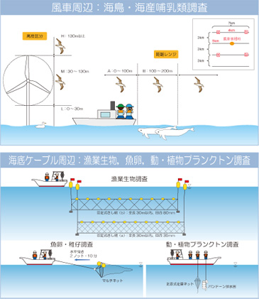調査地域と調査項目
